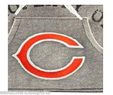 Chicago Bears NFL Womens Gray Hoodie Bowler HandBag Purse Tote Bag Travel Case