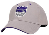 Fan Favorite NBA Classic Adjustable Logo Baseball Hat Cap (Sacramento Kings (Grey))